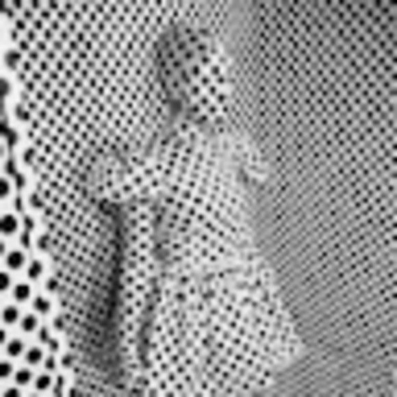 Meet your Posher, Quinn - Picture 1 of 1